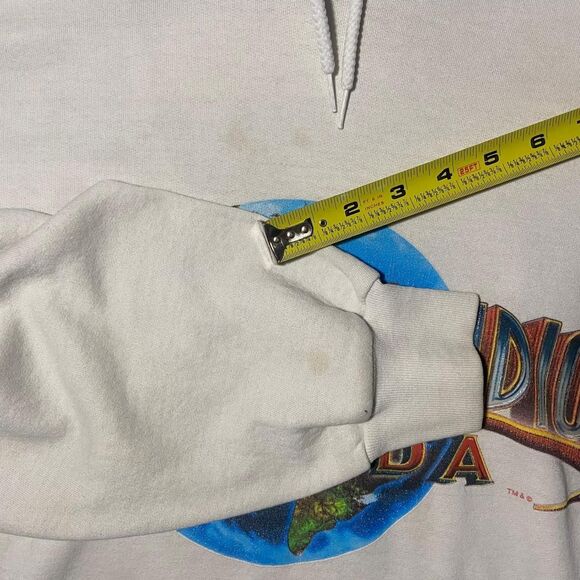 🎢 Y2K Universal Studios Hoodie | XL Vintage Theme Park Sweatshirt - Picture 4 of 8